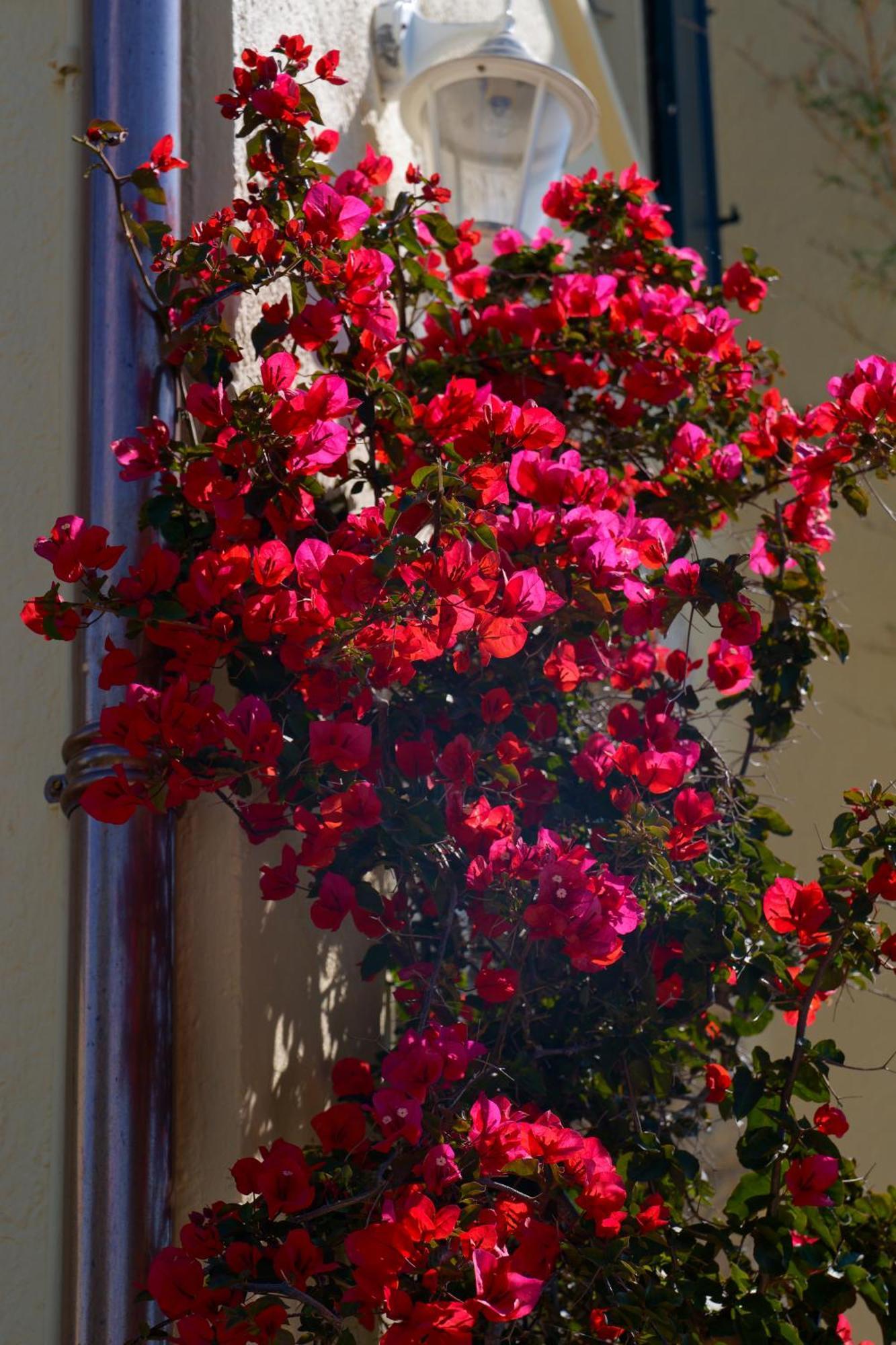 La Garoupe-gardiole Hotel Antibes