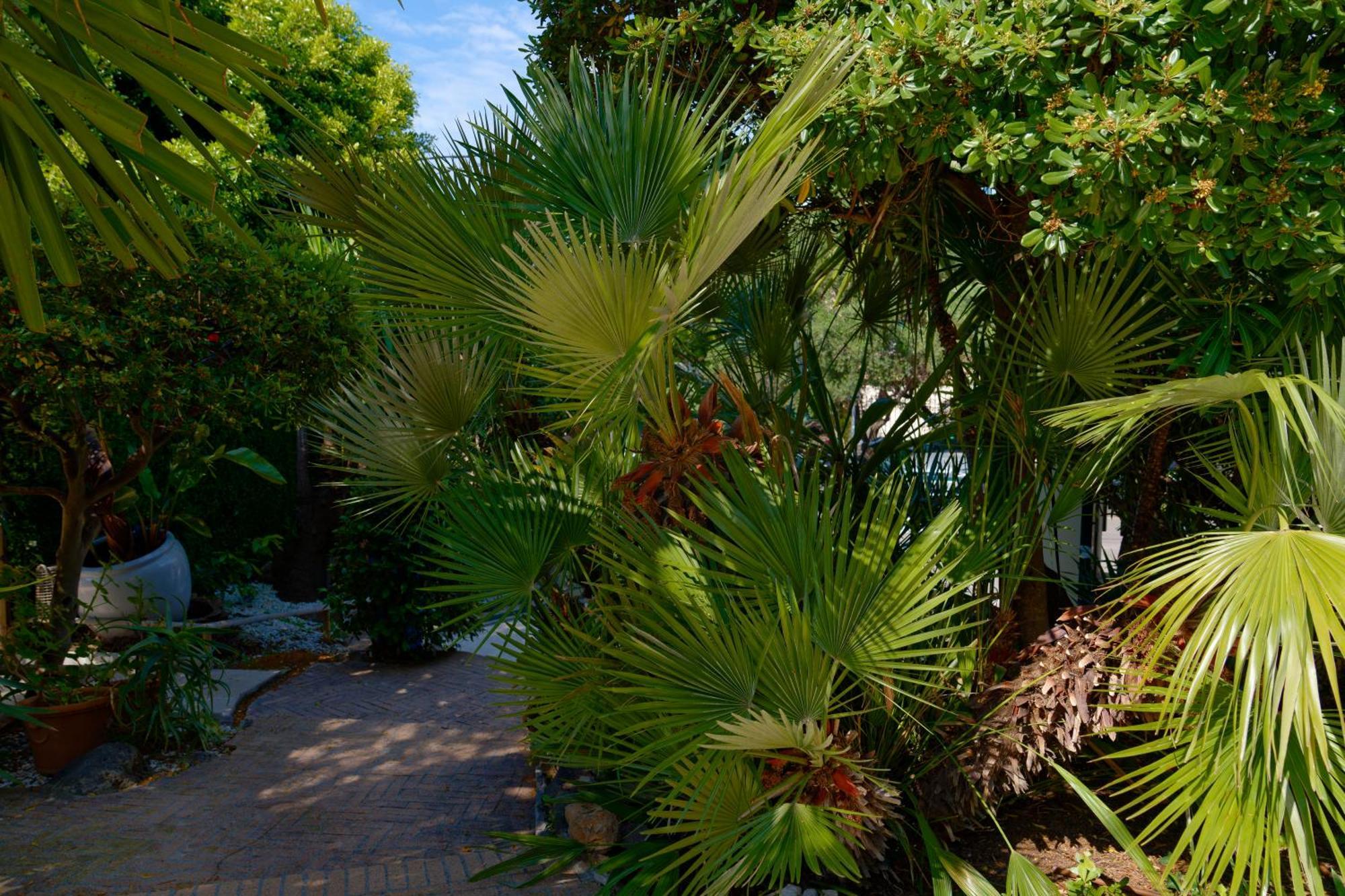 La Garoupe-gardiole 3* Antibes